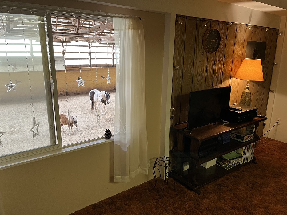2b - Living Room, Horses out window