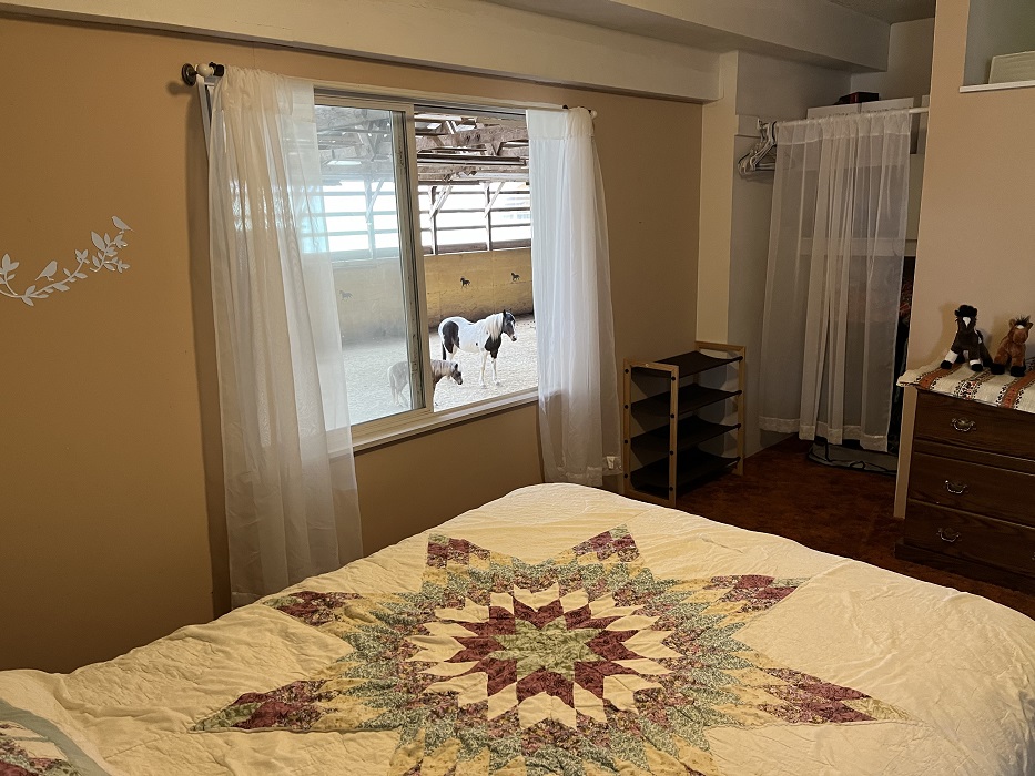 2B - Bedriin, Horses out window, King Bed