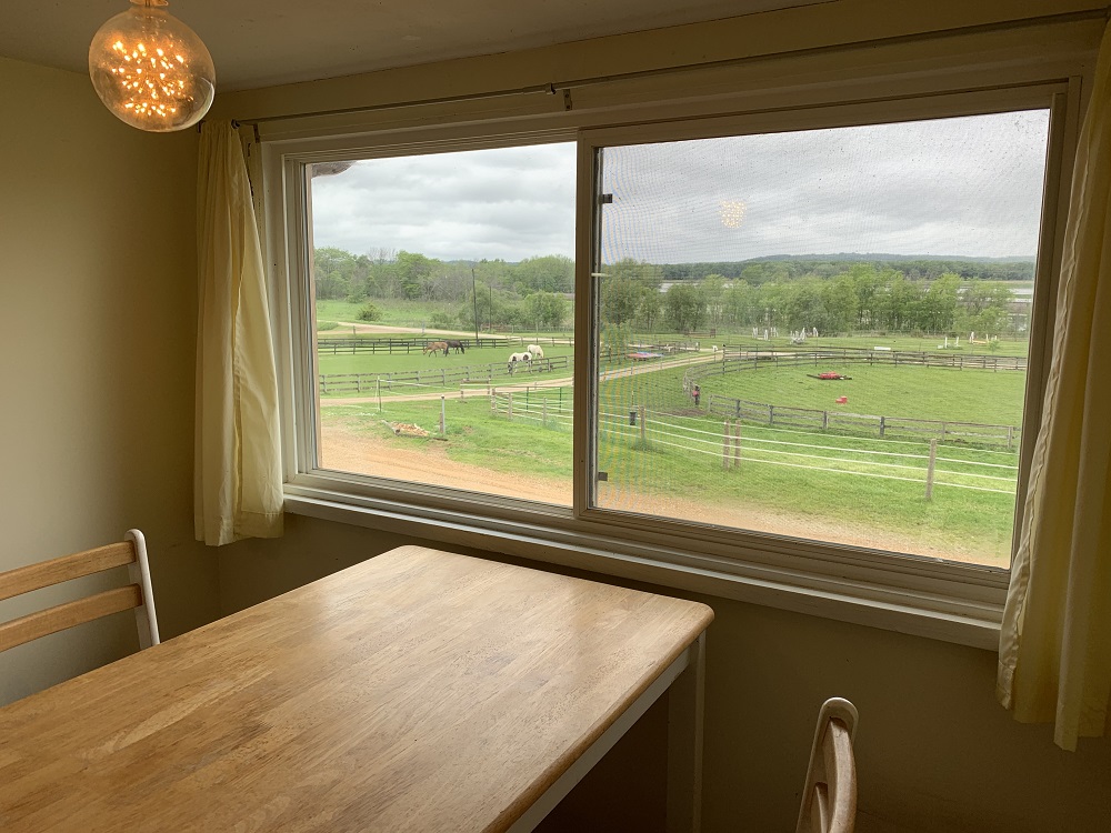 2a - Dormer - Horses